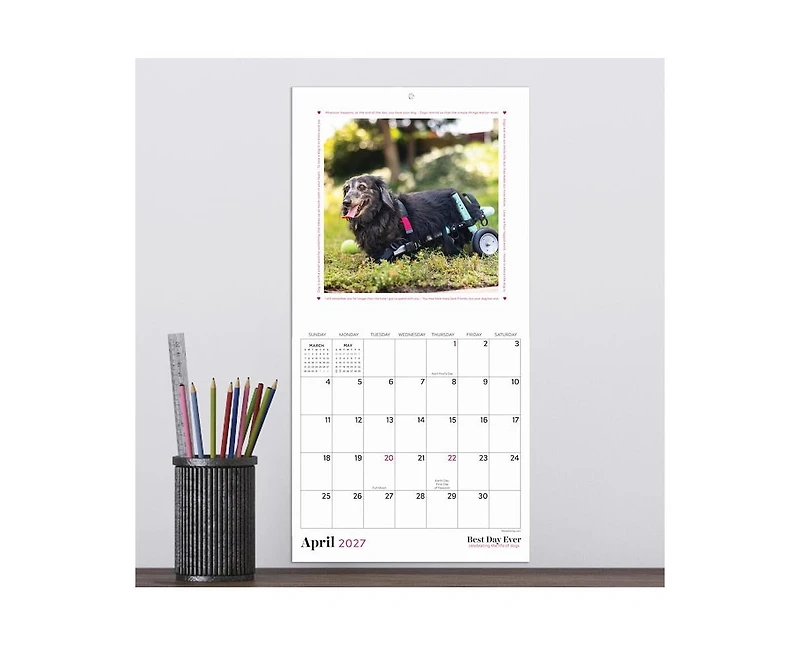 Tf Publishing Paper Goods 2027 Best Day Ever Dogs Mini Calendar