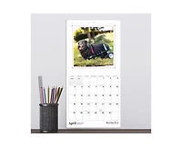 Tf Publishing Paper Goods 2027 Best Day Ever Dogs Mini Calendar