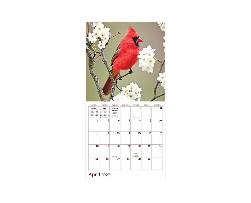 Tf Publishing Paper Goods 2027 Backyard Birds Mini Calendar