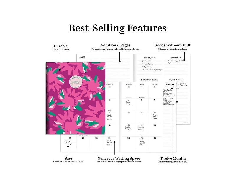 Tf Publishing Paper Goods 2027 Pom Poms Large Monthly Planner