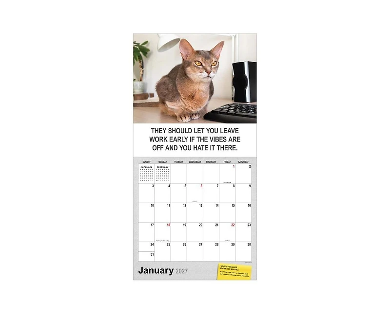 Tf Publishing Paper Goods 2027 Corporate Cats Wall Calendar