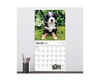 Tf Publishing Paper Goods 2027 Puppies Wall Calendar