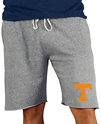 Concepts Sport Men's Gray Tennessee Volunteers Mainstream Terry Shorts