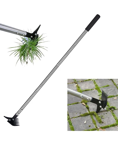 Xdovet Weed Puller Long Handle 2-in-1 Rake Crack Weeder Detachable Head Stainless Steel Garden Tool