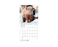 Tf Publishing Paper Goods 2027 Highland Cows Wall Calendar