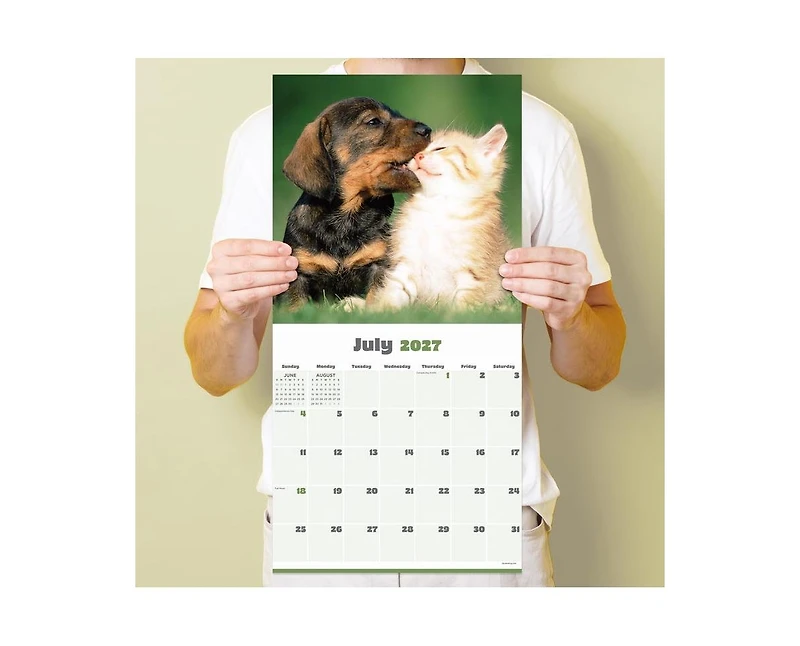 Tf Publishing Paper Goods 2027 Furry Friends Wall Calendar