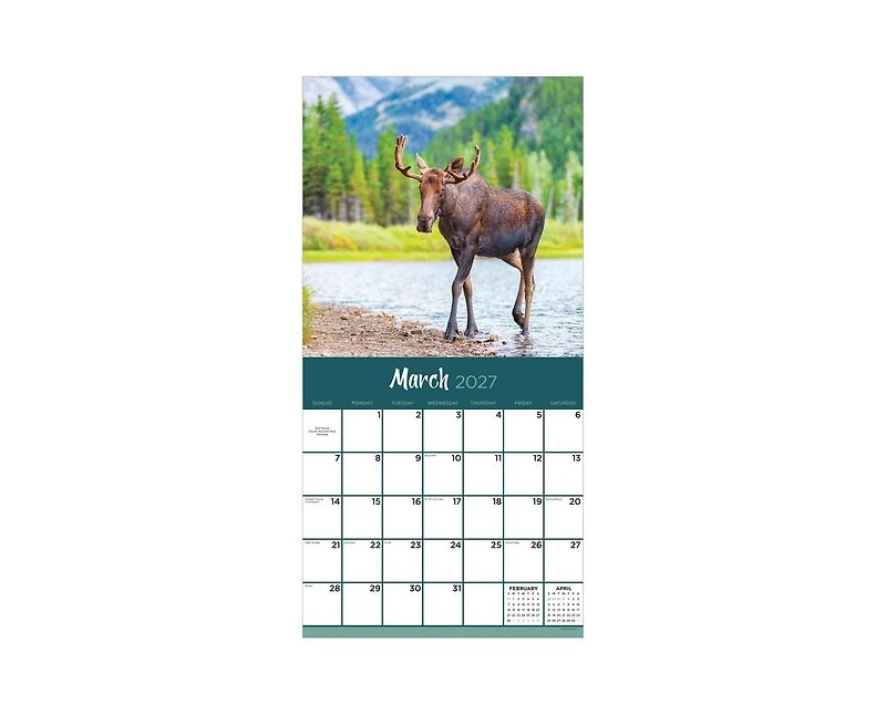 Tf Publishing Paper Goods 2027 Wild Wall Calendar