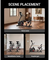 Harison Recumbent Exercise Bike, 400 lbs Capacity with Arm Exerciser