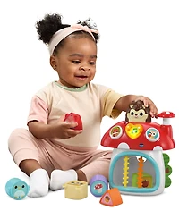 VTech Baby Put & Take Peek-a-Boo House, Ages 6+