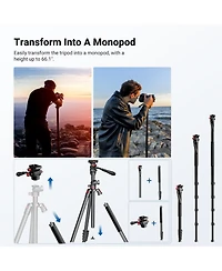 Neewer TP015 Camera Tripod with 75.4 Inch, 17.6 lb