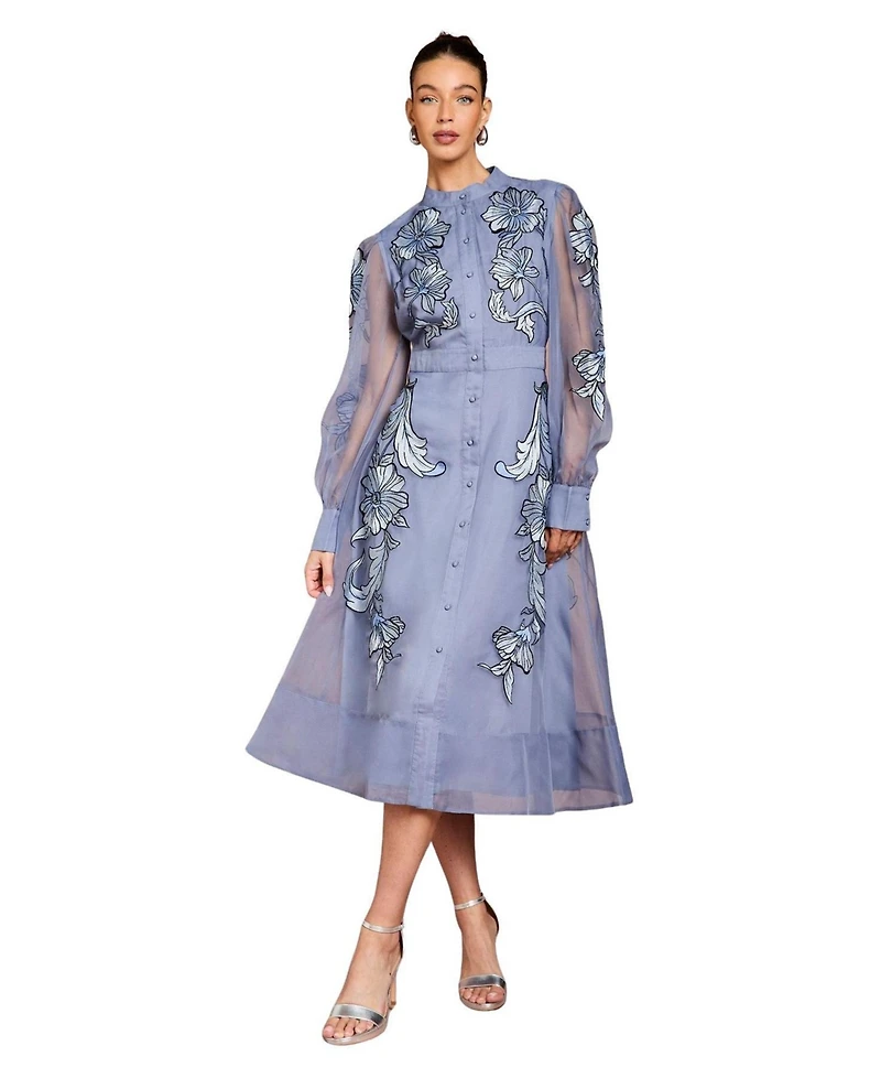 Coast Women's Embroidered Sheer Sleeve Midi Dress