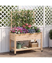 Costway Wooden Raised Garden Bed with Trellis 47x23x65 in, Liner, Drainage Holes