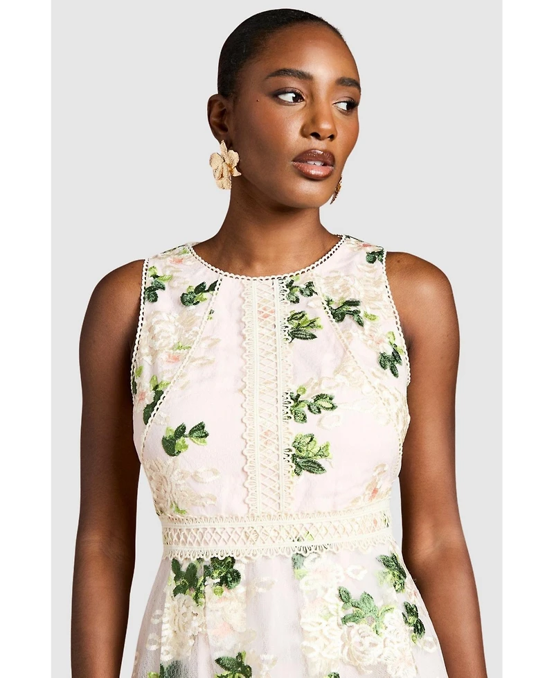 Coast Women's Embroidered Mesh Lace Skirted Midi Dress
