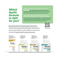 Kyolic Aged Garlic Extract Formula 300, Cardiovascular Health