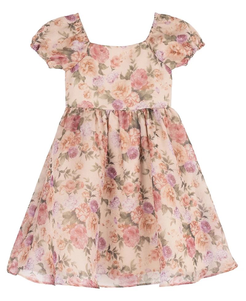 Rare Editions Girls' 2T-6X Floral Print Shimmer Organza Puff Sleeve Dress