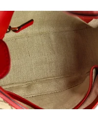 Pre-Owned Gucci Medium Lady Web Shoulder Bag Gg Canvas