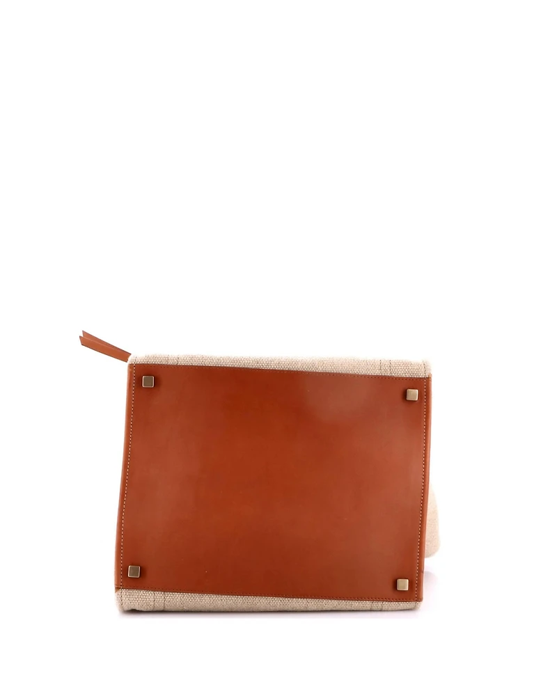 Pre-Owned Celine Medium Phantom Bag Canvas