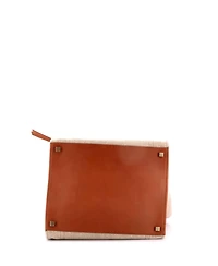 Pre-Owned Celine Medium Phantom Bag Canvas