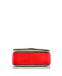 Pre-Owned Celine Medium Frame Shoulder Bag Leather