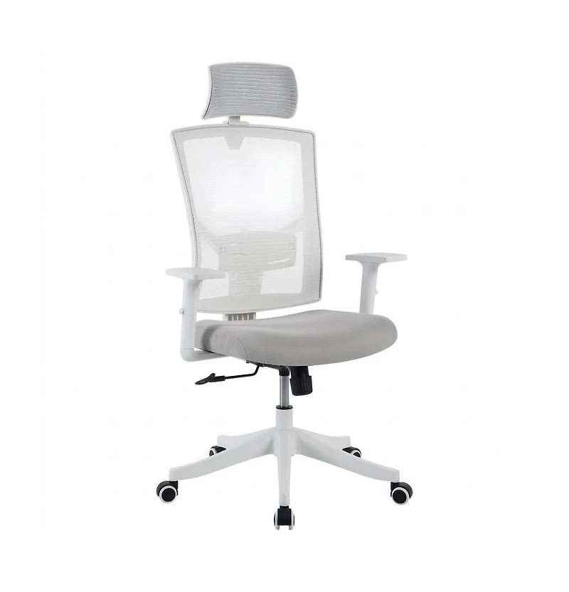 homfan Ergonomic Mesh Office Chair with Lumbar Support, Headrest, Flip-Up Arms, 350lb Capacity