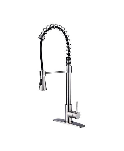 Busdays Brushed Nickel Single Handle Commercial Modern Spring High Arc Kitchen Faucet with Water Filter System Flexible Bendable Design