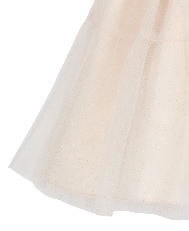 Rare Editions Girls' 2T-6X Sequin Floral Mesh Dress