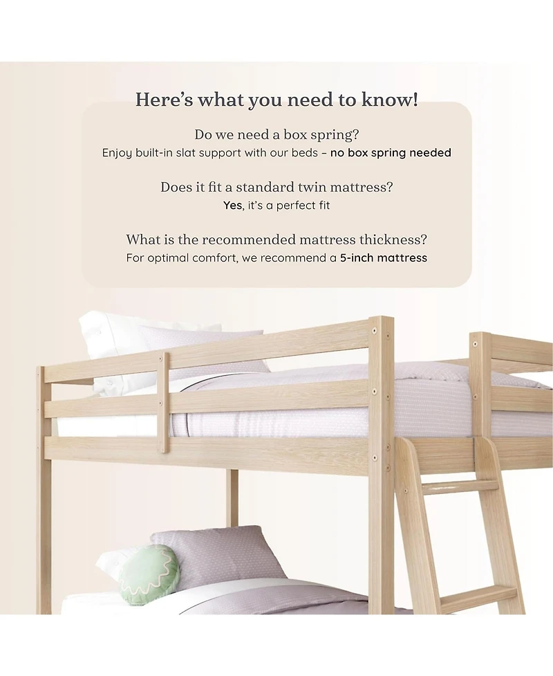 Grain & Grove Bear Plywood Twin/Twin Low Bunk