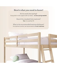 Grain & Grove Bear Plywood Twin/Twin Low Bunk