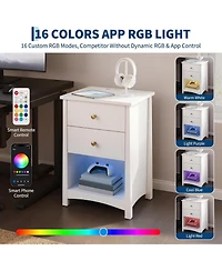 gaomon Set of 2 Mid-Century Nightstands with Charging Station