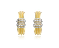 Rachel Glauber Brilliant 14K Gold Plated Cz Mesh Bands Half Hoop Earrings