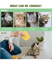 Pawsible 3 Pack Pasta Cat Toy Set Filled with Premium Catnip, Natural Stimulation and Teething Toy for Kittens and Cats