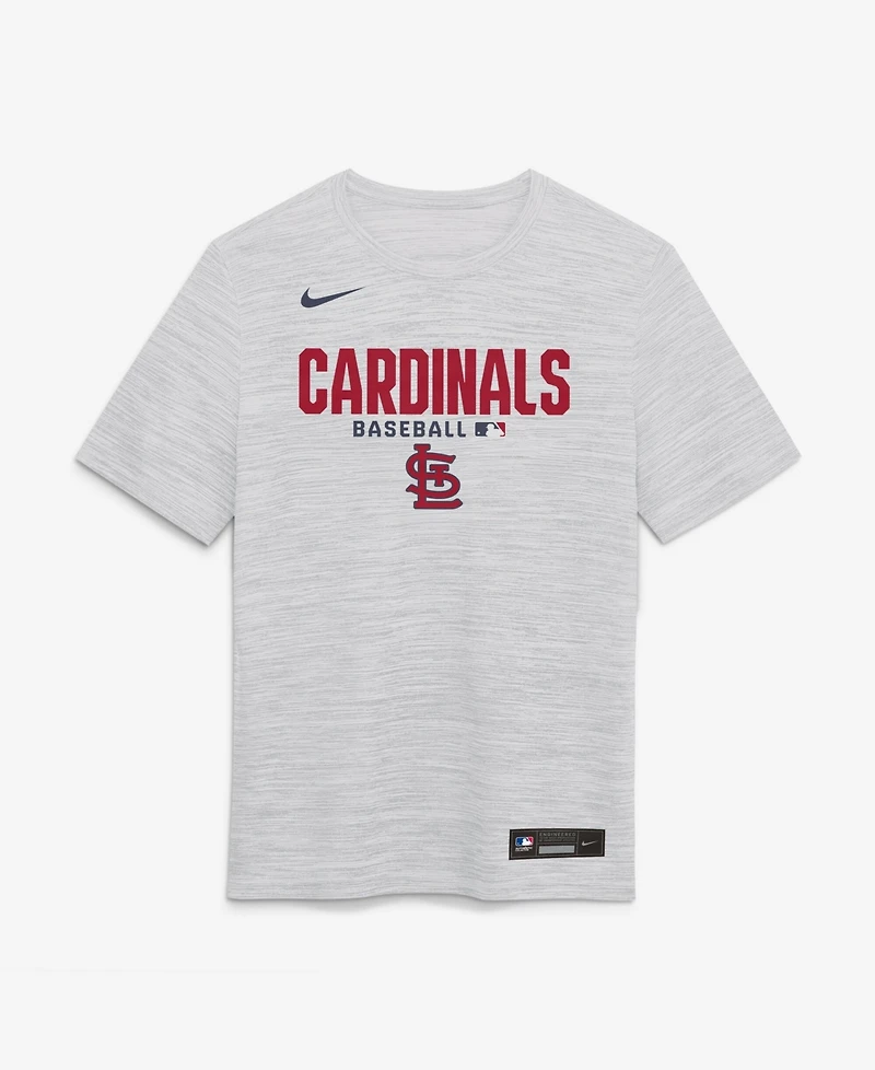 Nike Men's White St. Louis Cardinals Authentic Collection Velocity Dri-fit T-Shirt