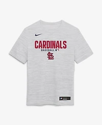 Nike Men's White St. Louis Cardinals Authentic Collection Velocity Dri-fit T-Shirt