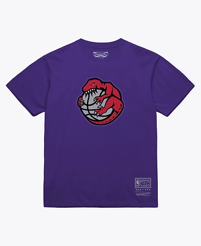 Mitchell & Ness Men's and Women's Purple Toronto Raptors Hardwood Classics Arch T-Shirt