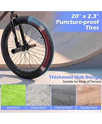 Hongge 20-Inch Freestyle Bmx with 360-Degree Steering Bike, 110 lb. Capacity, Ages 8+