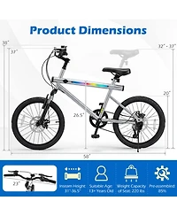Hongge 20-Inch Commuter Bicycle Featuring Dual Disc Brakes