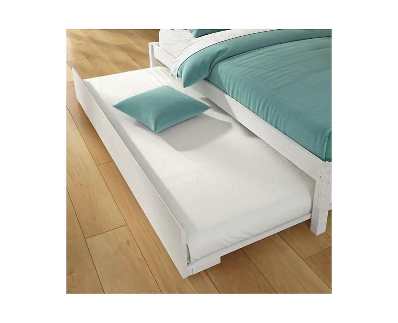 Grain & Grove Bear Plywood Twin/Full Bunk with Trundle