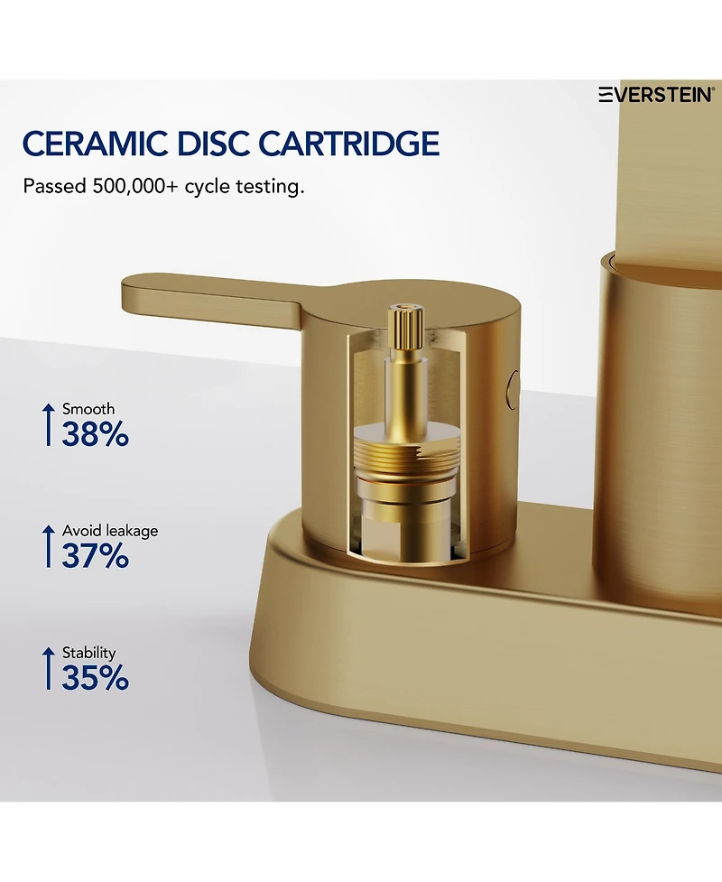 Everstein Centerset Bathroom Faucet with Drain Assembly, 2-handle Sink
