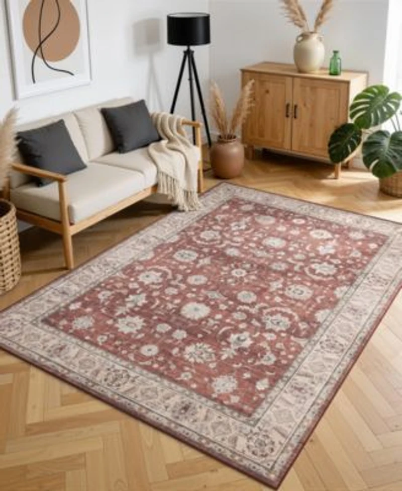 Mink Home Homewell Machine Washable Ham4008 Rug Collection