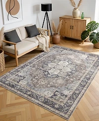 Mink Home Homewell Machine Washable HAM4006 9'10"x13'11" Area Rug