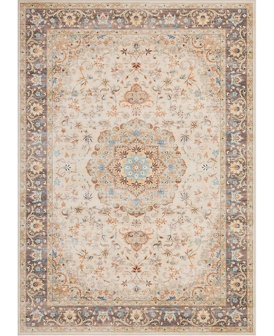 Mink Home Homewell Machine Washable HAM4002 9'x12' Area Rug