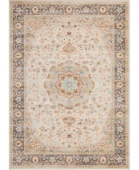 Mink Home Homewell Machine Washable HAM4002 9'x12' Area Rug