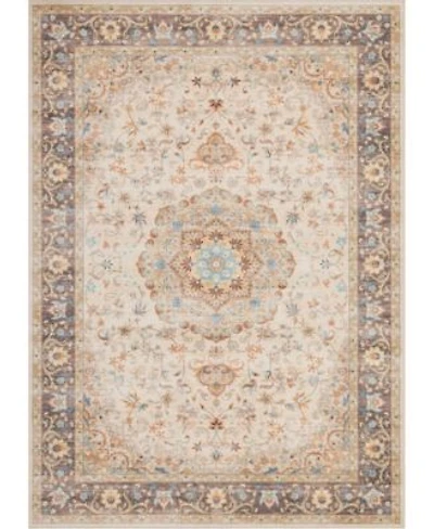 Mink Home Homewell Machine Washable Ham4002 Rug Collection