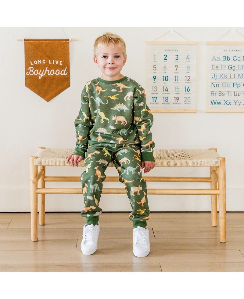Sweet Wink Big Boys Dinosaurs Rock Jogger
