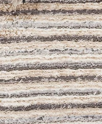Safavieh Seattle Shag Ste910 Area Rug Collection