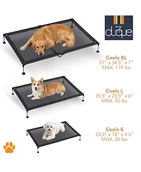 My Duque: Coola Bed