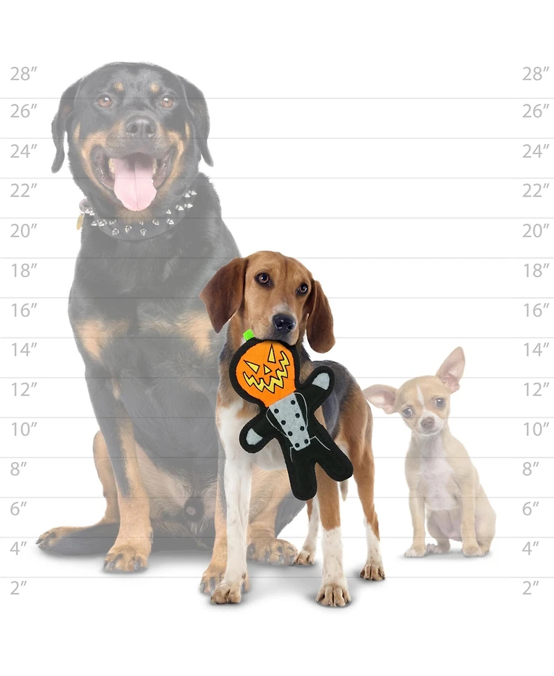 Tuffy Holiday Pumpkin Man 2 Pack, Halloween Plush Squeaky Dog Toy