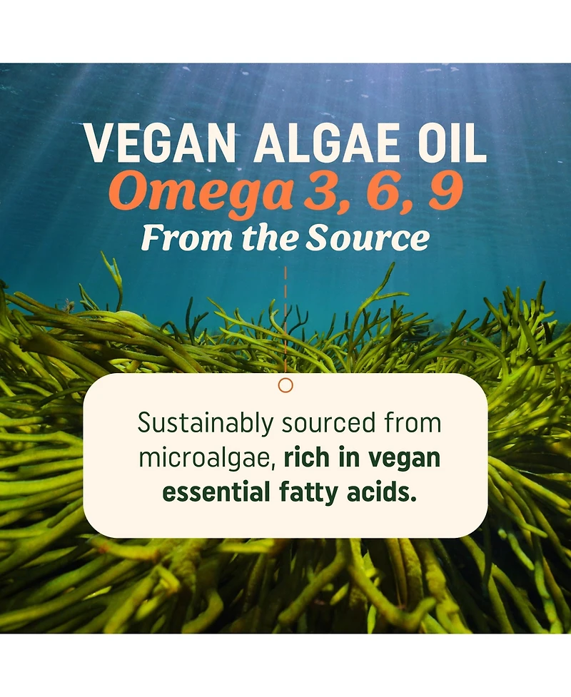 Mav Nutrition Algae Oil Softgels, 120 Count