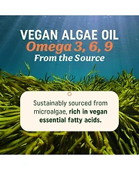 Mav Nutrition Algae Oil Softgels, 120 Count