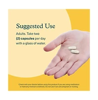 Youtheory Shilajit Advanced Capsule 90 vegetarian capsules